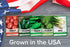 Packets, 5 Gardeners Basics, Heirloom Salsa Growing Seed Roma VF Tomato, Jalapeno, Cilantro, Anaheim and Onion Seeds