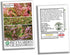 1000+ Packet, 85% Prizehead Lettuce Seeds for Planting, Heirloom Seeds Per (Isla's Garden Seeds), Non GMO Seeds