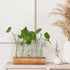 5 YIBOT Propagation Stations, Plant Terrarium with Wooden Stand, Glass Test Tubes Vases, Birthday Gardening Gifts