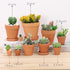 Yishang 2 inch Small Terracotta Pots with Drainage Holes, Mini Clay Ceramic Pottery Planter for Indoor/Outdoor