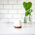Fellow Joey Double Wall Ceramic Coffee Mug - Refined Matte White, Single 8 oz Cup