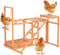GOJOOASIS Chicken Activity Play Set - Poultry Run with Wood Stand, Ladder,