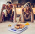 Food Scale Digital Weight, 3000g/0.1g Kitchen Scale for Cooking with Backlight LCD Display