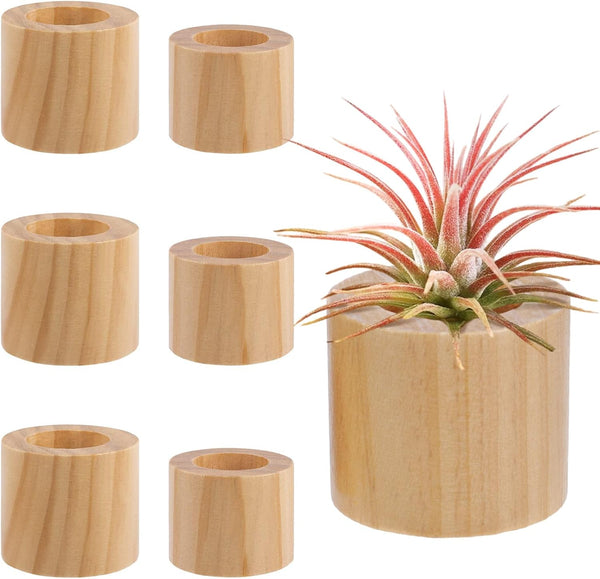 Bigmeta 6 Pcs Wood Air Plant Holder - 1.2" & 1.4" Rustic