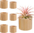 Bigmeta 6 Pcs Wood Air Plant Holder - 1.2" & 1.4" Rustic