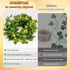 300 DomeStar Vines with Light for Bedroom, LED Fairy Lights with Vines, Curtain String Lights with Remote for Dorm