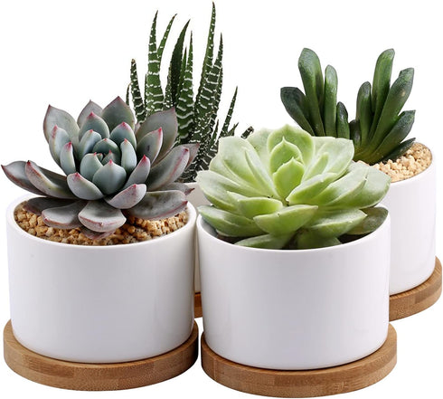 ZOUTOG White Mini Succulent Planter, 3.15 inch Ceramic Pot with Bamboo Tray, Pack of 4