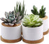ZOUTOG White Mini Succulent Planter, 3.15 inch Ceramic Pot with Bamboo Tray, Pack of 4