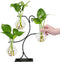 Renmxj 2026 New Desktop Plant Propagation Stations, Plant Terrarium with Metal Stand,