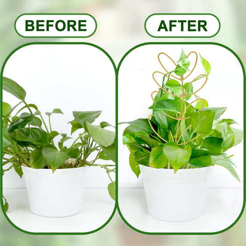 2 12 Inch 50 AUGSUN Pcs Gold Trellis Leaf Shape Metal Plant Support with Ties for Climbing Potted Plants Houseplant