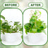 2 12 Inch 50 AUGSUN Pcs Gold Trellis Leaf Shape Metal Plant Support with Ties for Climbing Potted Plants Houseplant