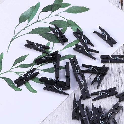 Wooden Clothes Pins - 100pcs 1.3 Inch Black Small Chip Clips with 33 Feet Jute Twine for Heavy Duty Use