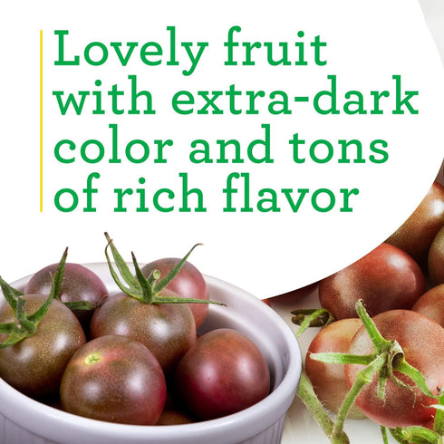 19.3 oz., 4-Pack, Bonnie Plants Black Cherry Tomato, Live Plants
