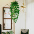 Freyalife Fake Hanging Plants for Room Decor, Artificial Ivy vines Greenery Leaves Garlands for Home Aesthetic living