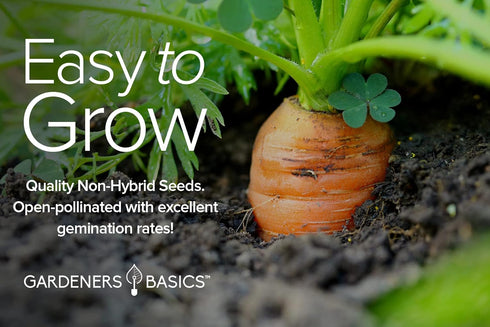 5 Pack 58, Summer, Gardeners Basics, Carrot Seeds for Planting Home Garden - Variety Rainbow, Imperator Scarlet Nantes
