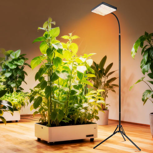 2026 4/8/12/16/20H 25 24"-76" Grow Light with Upgrade Stable Stand, Bright Grow Lights for Indoor Tall Plants, Bonsai
