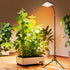 2026 4/8/12/16/20H 25 24"-76" Grow Light with Upgrade Stable Stand, Bright Grow Lights for Indoor Tall Plants, Bonsai