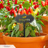 RealSteel Metal Seed & Plant Markers Elegant Indoor & Outdoor Garden Stakes Durable Herb, Vegetable & Fruit Plant