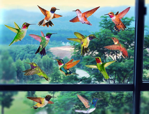 Anti-Collision Window Clings Bird Alert Decals to Prevent Bird Strikes on Glass - Set of 12 Hummingbirds