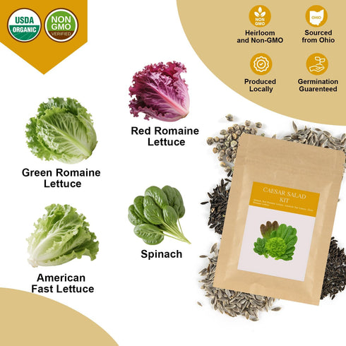 Garden(7-Pod) Caesar Salad Seed Pod Kit for AeroGarden, idoo, Ahopegarden, MUFGA with Green Romaine Lettuce, Red