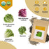 Garden(7-Pod) Caesar Salad Seed Pod Kit for AeroGarden, idoo, Ahopegarden, MUFGA with Green Romaine Lettuce, Red