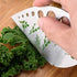 Scissors Herb Stripper Tools Kit, 5-Blades Stainless Steel Scissors with Kitchen Herb Stripping Tool