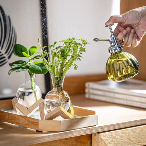 Bulb (2) Propagation Stations, Propagation vases with Wooden Stand, Small Tabletop Glass Vases for Hydroponics Plant