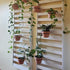Maosen 6 Inch 6 Pack Plant Holder Ring Wall Mounted, Flower Pot Hangers Metal Plant Stand Hanging Bracket Basket Hooks