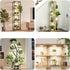 3 3000K+6000K 6/12/16H 3 10 Dimmable Head White Halo Angel Ring Ceiling LED Plant Growth Lights for Shelf, Full