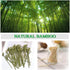 500 Pcs Bamboo Cocktail Appetizer Forks Set, 200 Pcs Sandwich Skewer Picks & 300 Pcs Mini Wooden Forks