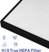 AP350 Replacement Filter for Envion Allergy Pro AP350 Air Purifier, True HEPA (H13)