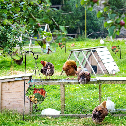 WaiLaDi Hanging Chicken Feeder,Chicken Toys for Coop, Foldable Poultry Vegetable Fruits Feeder Basket with Shepherd's