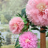 Pinks Flowers Decoration (Assorted 11''-7''), 6 pcs Artificial Tissue Paper Peony for Baby Girl Birthday