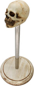 Rustic White Wood Skull Stand Up Paper Towel Holder, Easy One-Handed Tear Kitchen Paper Towel Dispenser with Weighted