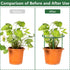 36Packs 3 Plant Support Stake Half Round Plant Support for Indoor Plants, Stackable Tier Garden Flower Support, Plant