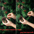 Whaline 25 Pcs Christmas Pine Cones Decoration with String, Natural Rustic Pinecones Bulk Ornaments for Crafting