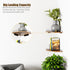 Set 2, Corner Floating Shelves, Rustic Brown Wood, of Wall Mount Storage with Guardrail for Bathroom Kitchen Living