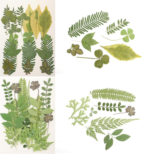 120Pcs Dried Pressed Leaves Flowers - Natural Dry Leaves Bulk Mixed Colorful Herbs Kit for Crafts