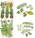 120Pcs Dried Pressed Leaves Flowers - Natural Dry Leaves Bulk Mixed Colorful Herbs Kit for Crafts