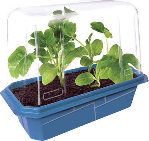 Unique Gardener Melon Plant Seeds Kit, Grow Sweet Mini Melons Indoors in Small Spaces, Easy Indoor Plant Seeds
