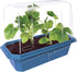 Unique Gardener Melon Plant Seeds Kit, Grow Sweet Mini Melons Indoors in Small Spaces, Easy Indoor Plant Seeds