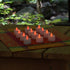 LumaBase Battery Operated Tea Light Candles, Pink, Set of 12