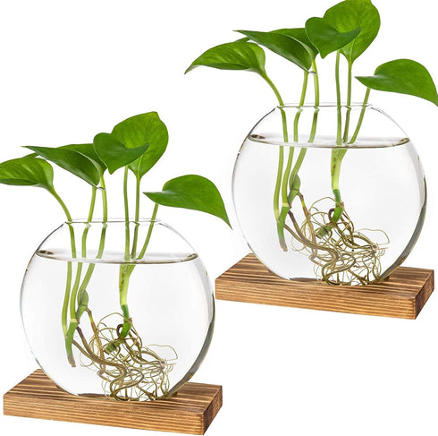 Kingbuy Round Glass Desktop Planter with Wooden Stand - Propagation Station for