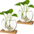 Kingbuy Round Glass Desktop Planter with Wooden Stand - Propagation Station for