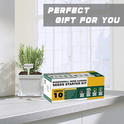 10 Set Meekear Herb Seeds Garden Starter Grow Kit with White Pots, Markers, Nutritional Soil, Watering, Herb Clipper