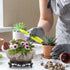 Water Lily Bowl Planter - Narcissus Bonsai Pot Ceramics Hydroponic Lotus Planter Ceramic Water Lily Pot with Stand No
