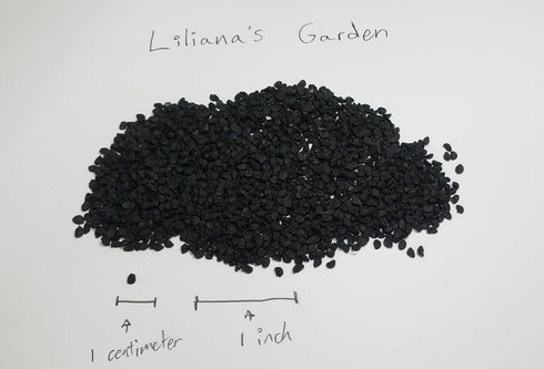 Liliana's Garden Apache Red Bunching Onion Seeds aka Red Scallion or Salad Onion | Heirloom Seeds by |