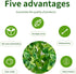 Freyalife Vines(2pcs)for Fake Hanging Plants Room Decor, Artificial Ivy Greenery Garlands for Home Bedroom Living