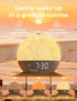 30 LIORQUE Sunrise Alarm Clock, Digital Alarm Clocks Bedside, Sleep Sounds, Sleep Timer, Adjustable Volume