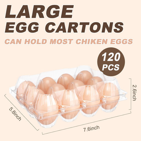 Zhanmai 120 12 Count Pcs Easter Plastic Egg Cartons Bulk Clear Reusable Large Egg Tray Container Holder with Sticker